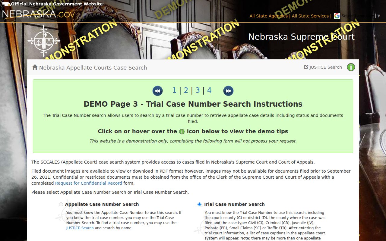 Lancaster case search SCCALES appellate case lookup interface